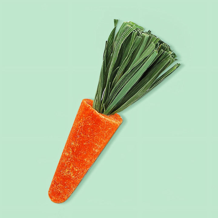 3-Pack Natural Hamster Chew Toys for Healthy Teeth & Nutrition Fun Carrot Teething Treats