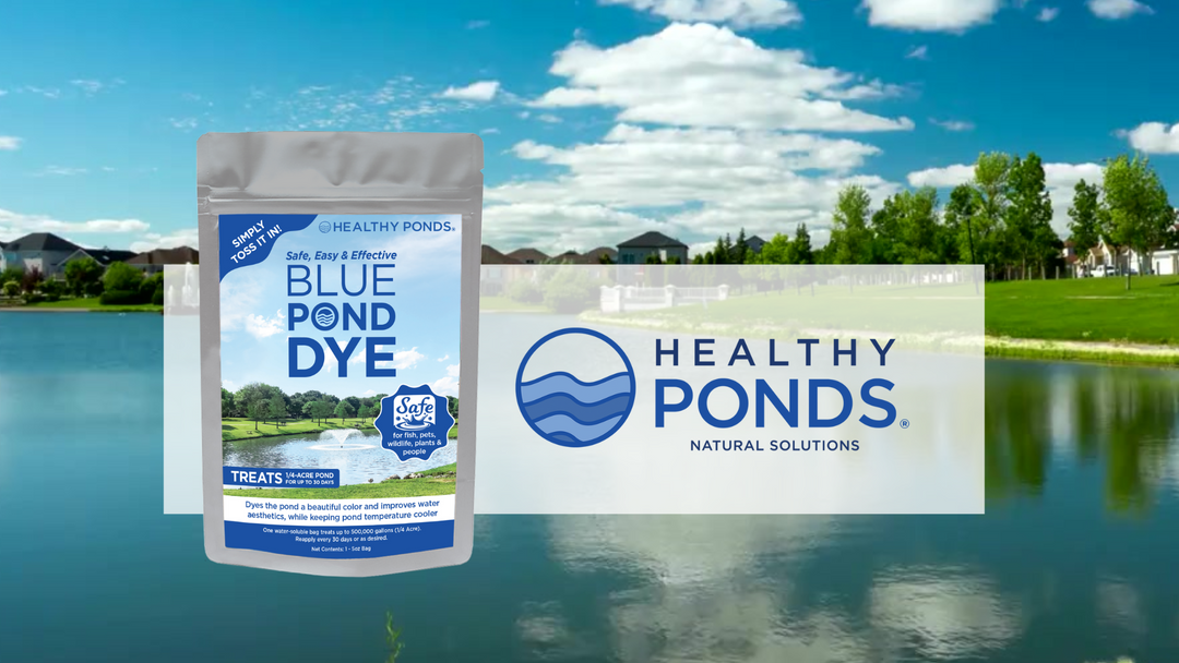 Healthy Ponds Black Pond Water Dye - 2.6 oz Jar Treats 250,000 Gallons