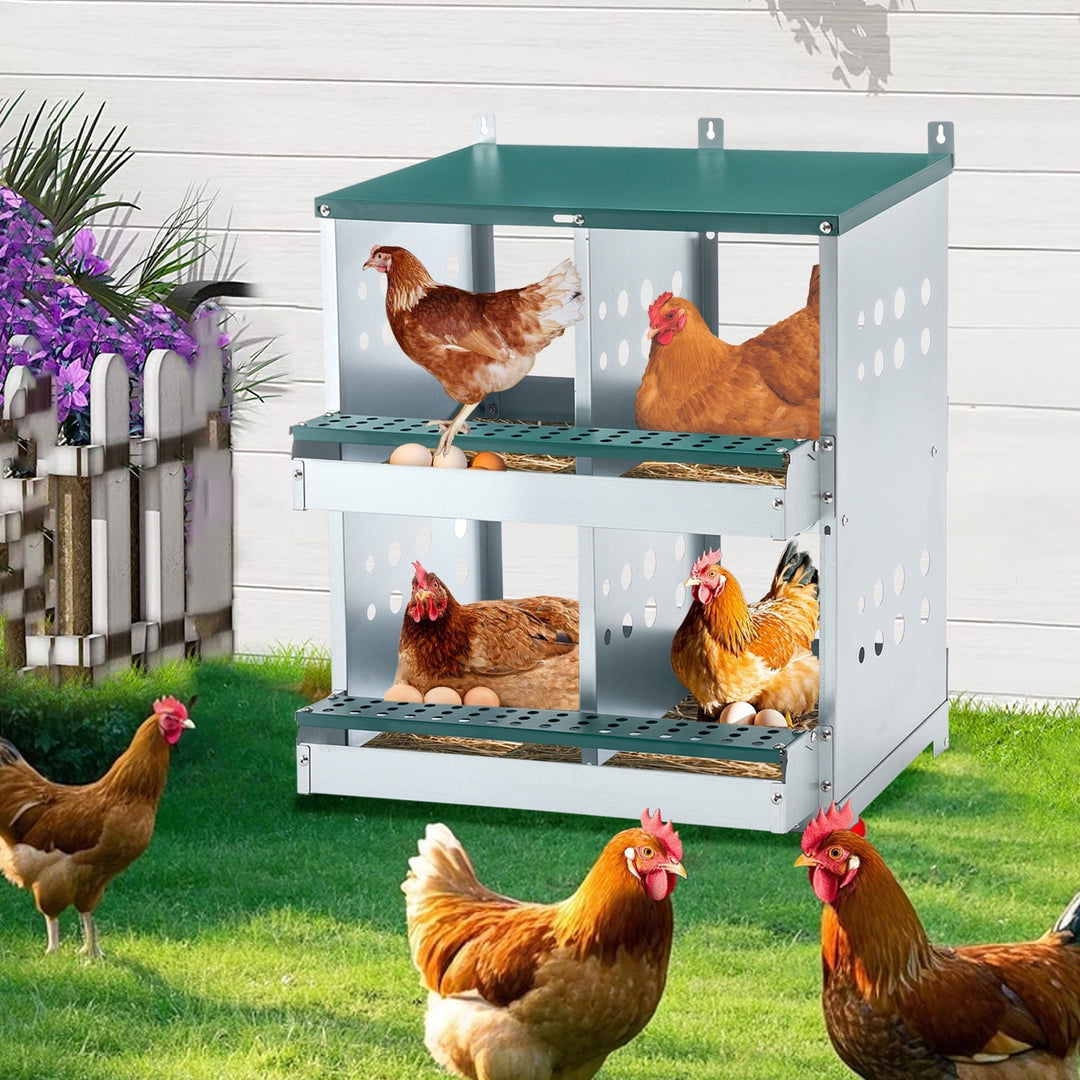 Zephypaws 4 Compartments Wall Mount Chicken Nesting Boxes for Laying Eggs, Hen Nest Box Roll Away Chicken Laying Boxes, Green