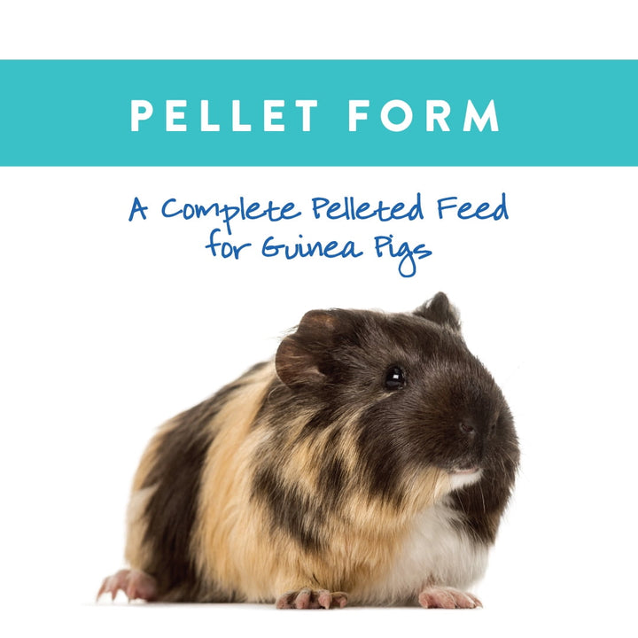 Small World Guinea Pig Complete Feed 9 lbs.