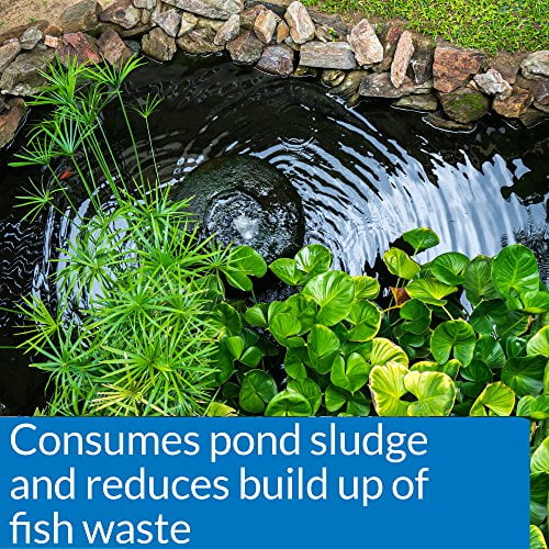 API POND SIMPLY CLEAR Pond Water Clarifier 1-Gallon Bottle