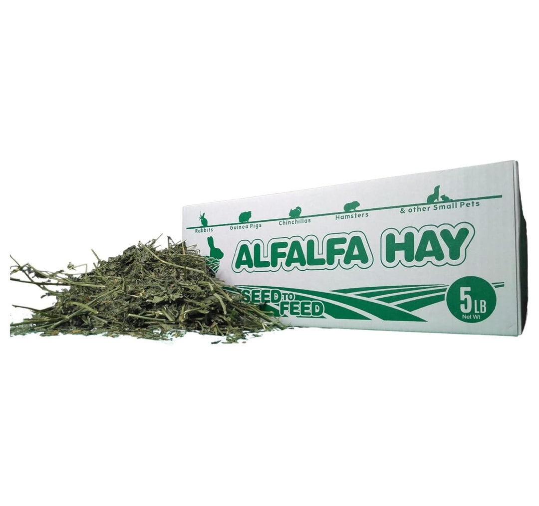 Alfalfa Hay - Dried Natural Alfalfa Hay for Rabbits, Guinea Pigs, Chinchillas, and - Protein and Fiber Rich Food for Small Animals - Healthy Pet Food