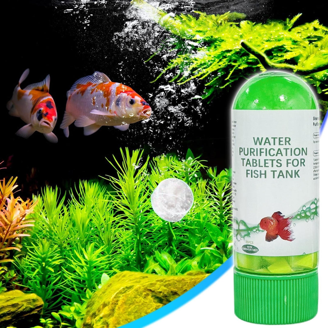 Aquarium Water Purification Tablets | Biological Enzyme | Powerful Turbidity Remover for Fish Tank & Pond | Safe for All Aquatic Life | Supports Fish Survival | 50g Bottle | 2025 New Formula