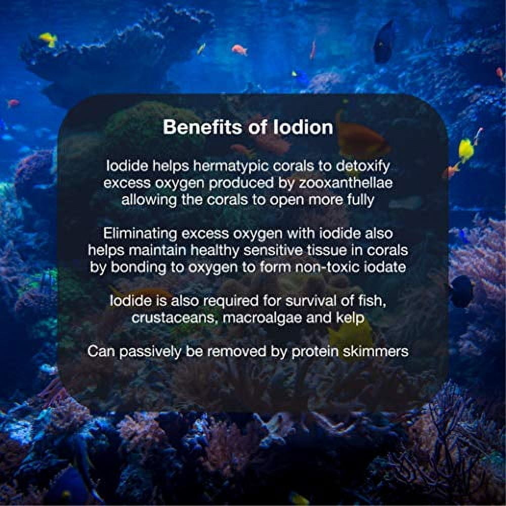 Brightwell Aquatics ABAIOD500 Iodion Liquid Salt Water Conditioners for Aquarium, 17-Ounce, 500-ml