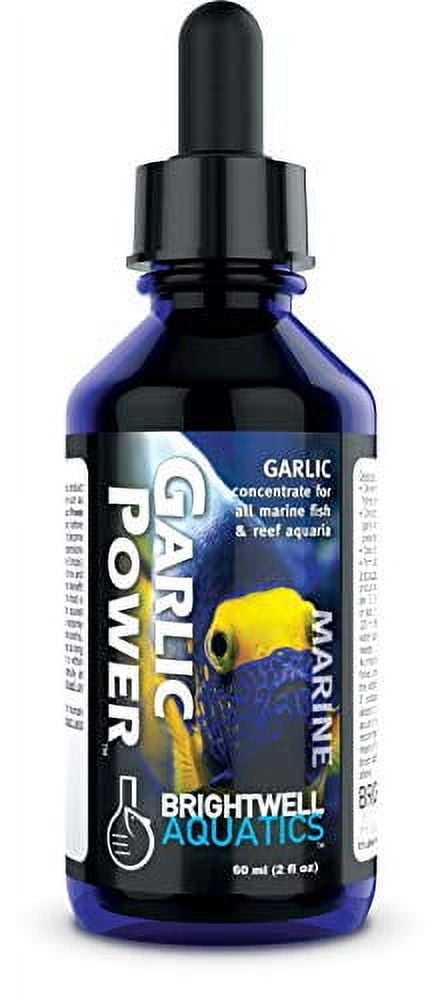Brightwell Aquatics Garlic Power - Liquid Garlic Concentrate for Marine Aquariums, 60 ml