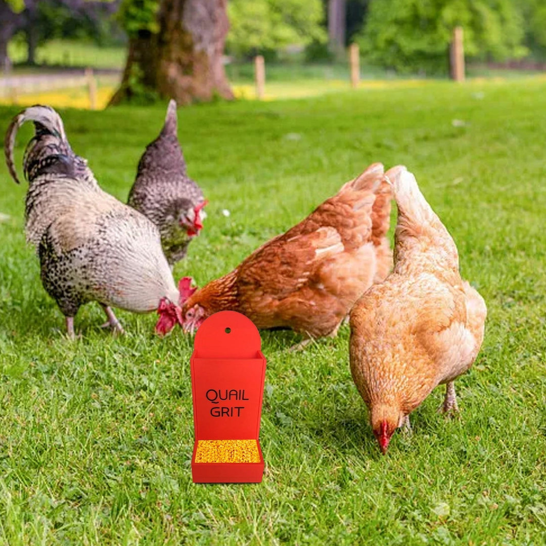 Chicken Grit Feeder, 2025 New Oyster Shell for Chickens, Hanging Chicken Feeder Trough, No Waste Design, Precision Nutrition, Chicken Coop Accessories