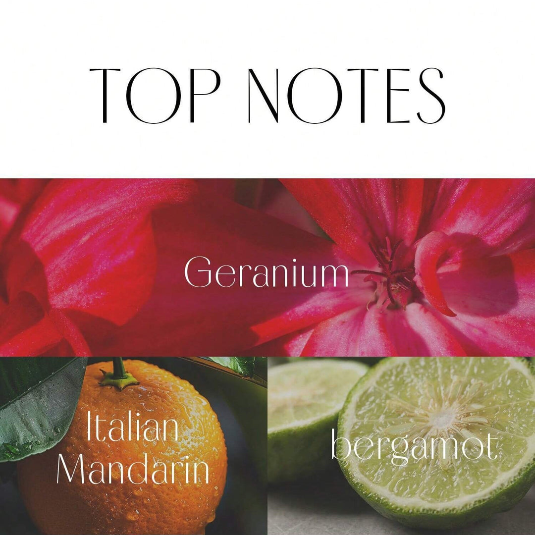 Dior Rose N’Roses perfume for Men