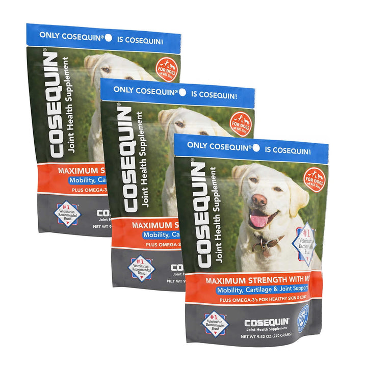 Cosequin Maximum Strength with MSM Plus Omega-3’s Joint Health Supplement for Dogs, 60ct Soft Chews, 3-pack