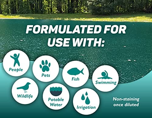Crystal Blue Ocean Blue Pond Dye - 1 Gallon -  Blue Color Treats up to 1 Acre - Clean, Clear &  Blue Water - Environmentally Friendly Pond Dye