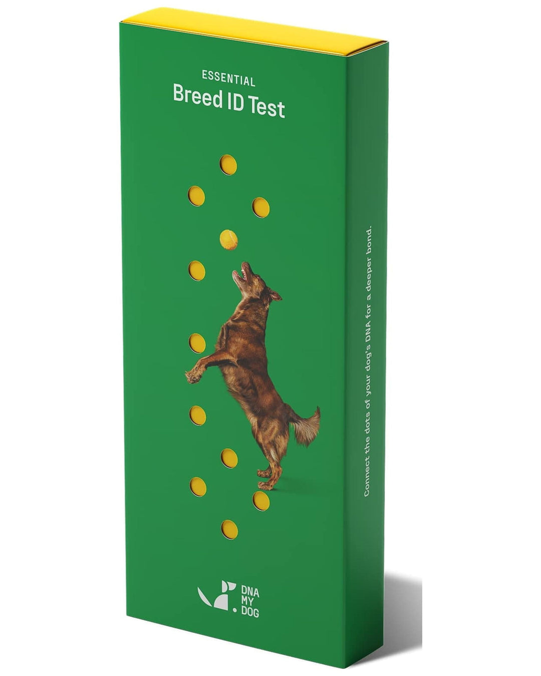 DNA My Dog Essential Breed Test