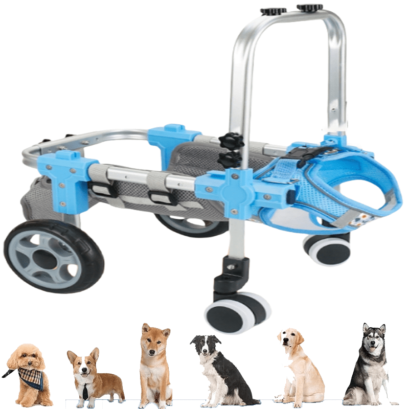 DOCRELD Dog Wheel Chair, 2/4 Wheel Front Back Wheels Dog Mobility Aid Wheelchair Adjustable, Small Medium Large Dogs Leg Brace for Paralysis Injury Doggy, Pet Trolley,4 Wheel-blue,Large