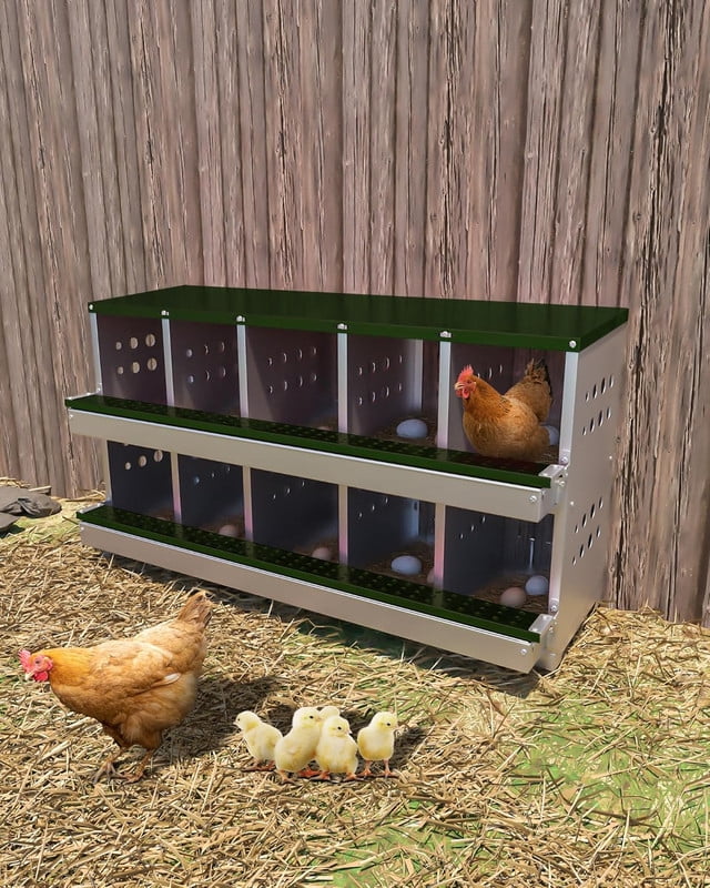 Green Metal Chicken Nesting Box for Laying Eggs, Rustproof Wall-mountable Roll Away Chicken Laying Boxes for Hens, Waterproof, Ventilated with Perch, 10 Compartments