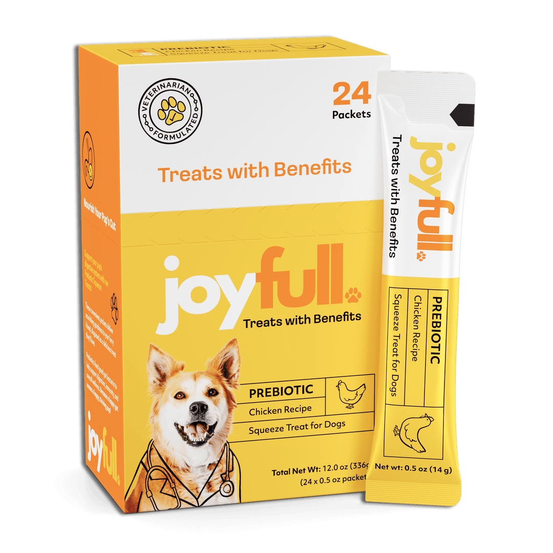 JoyFull Chicken Squeeze Treats for Dogs – Prebiotic Gut Health Treats Made with Real Cage-Free Chicken – Lickable, Enrichment-Friendly, Meal Topper – 24 Easy Squeeze Sticks (0.5oz Each)