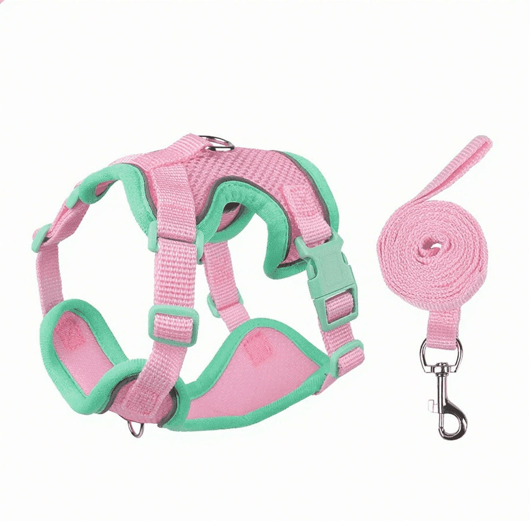 NOYAFA Dog Harness & Leash No Pull Puppy Harness for Small to Medium Dogs, Cats ,Reflective Adjustable Soft Padded D-Rings Pet Harness with Hook & Loop Fastener, Buckle （Pink S）