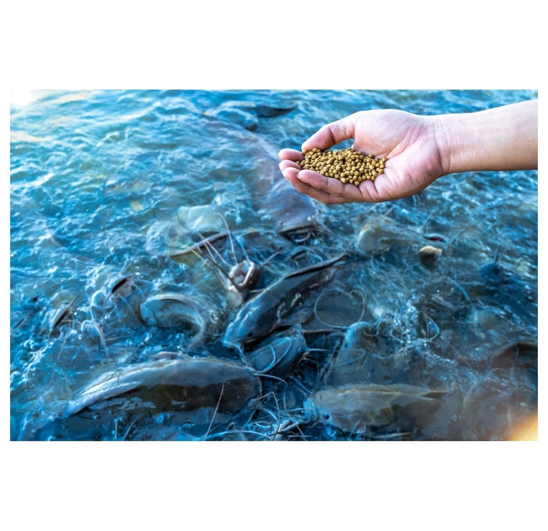 Nature's Canvas Catfish Feed Big Strike 32% Protein Floating Fish Food 40 Pounds