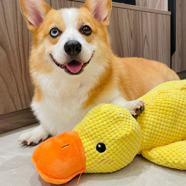 Dog Toy Relieving Stuffy Handy Gadget Self-Hi Stuffed Bite-Resistant Molar Sound Puppy to Sleep with Corgi Interactive Pet Supplies