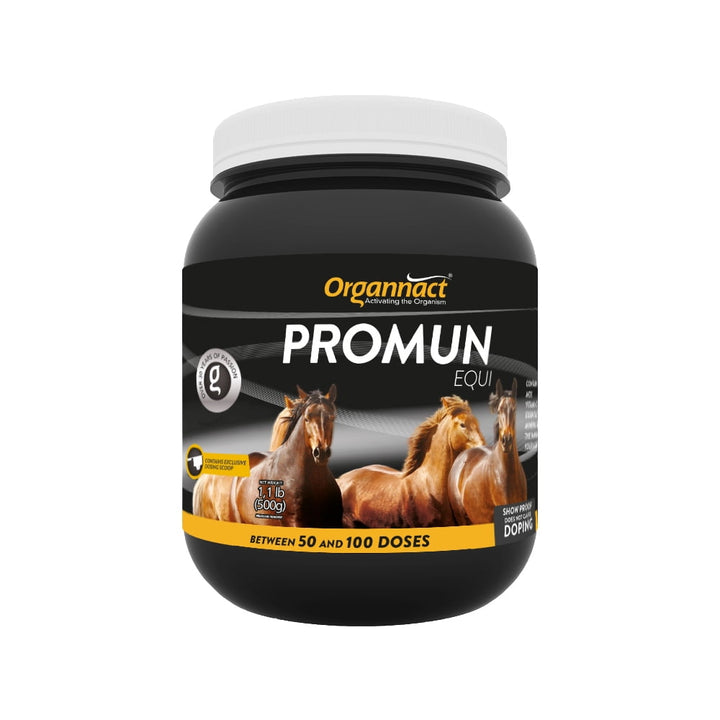 Organnact PROMUM EQUI to improve the natural immune system of horses 1.1 lb (500g)