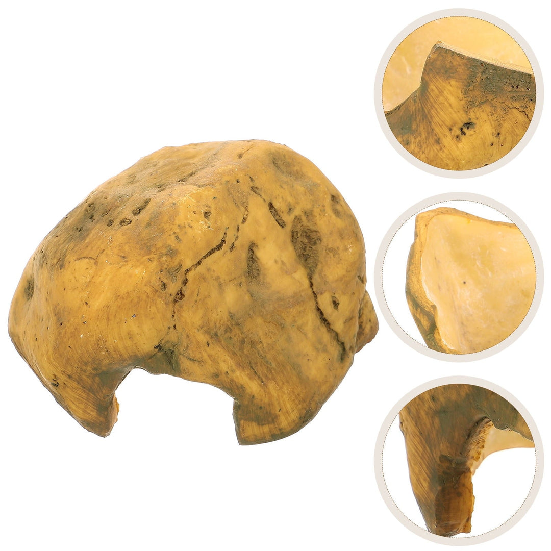 PAMINGONO Small Reptile Hide Decor Resin Basking Rock for Turtle Tank 1Pack