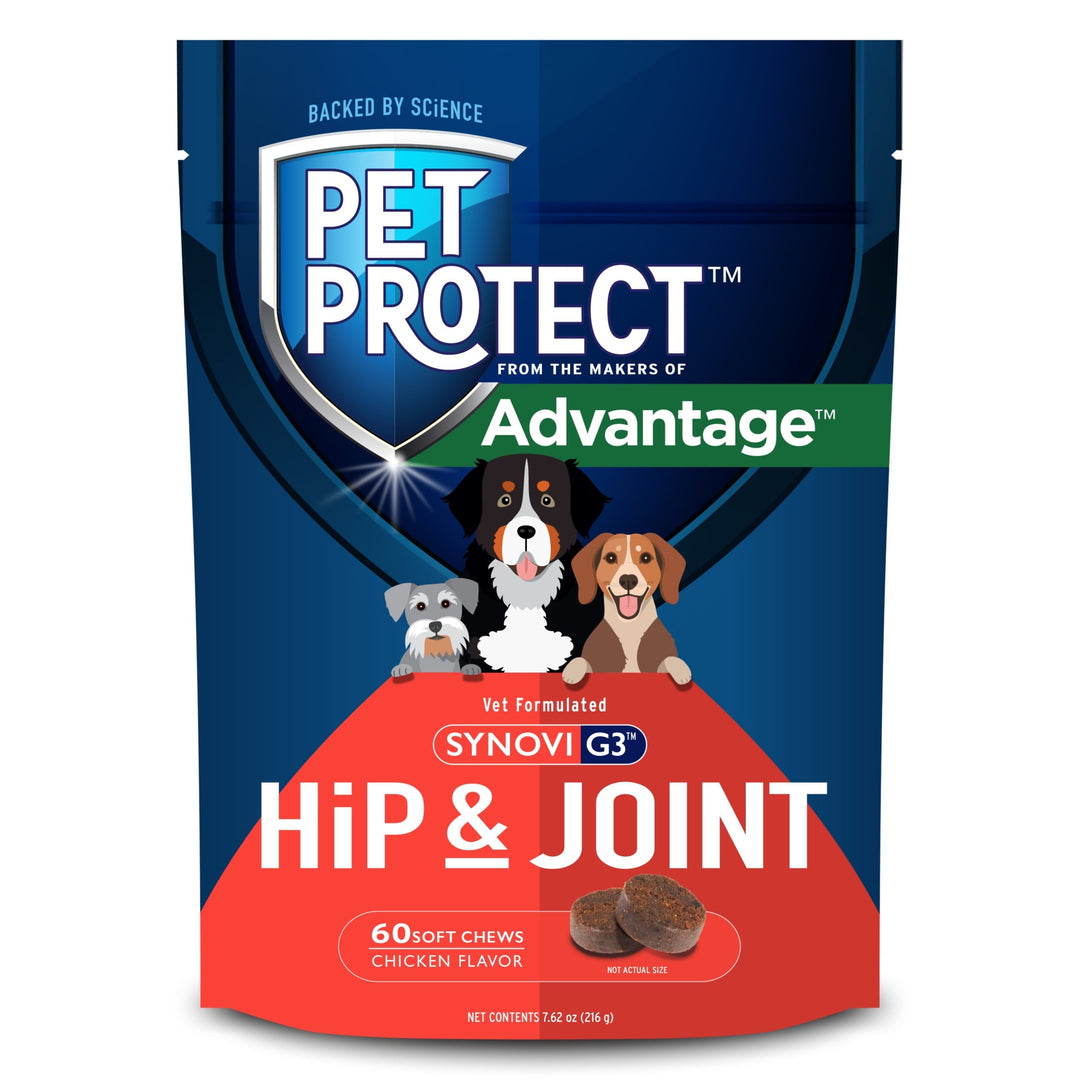 Pet Protect Vet-Formulated Hip & Joint Supplement for Dogs, 60 Chews for Joint Care