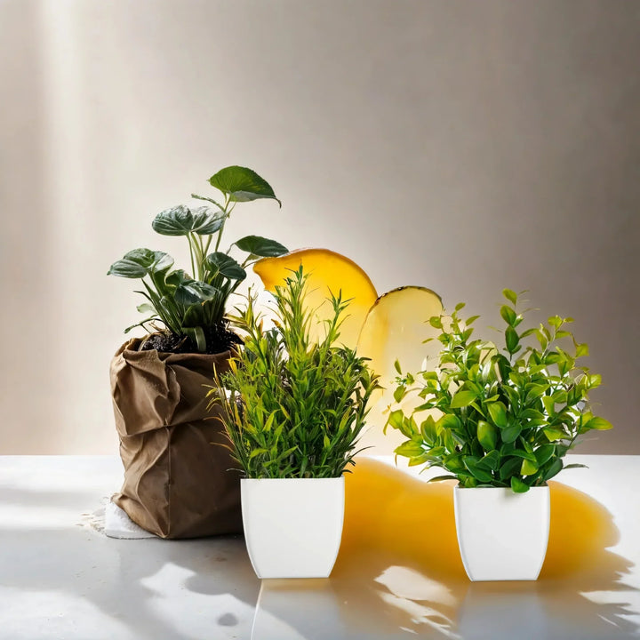 Artificial Potted Plant for Table & Window