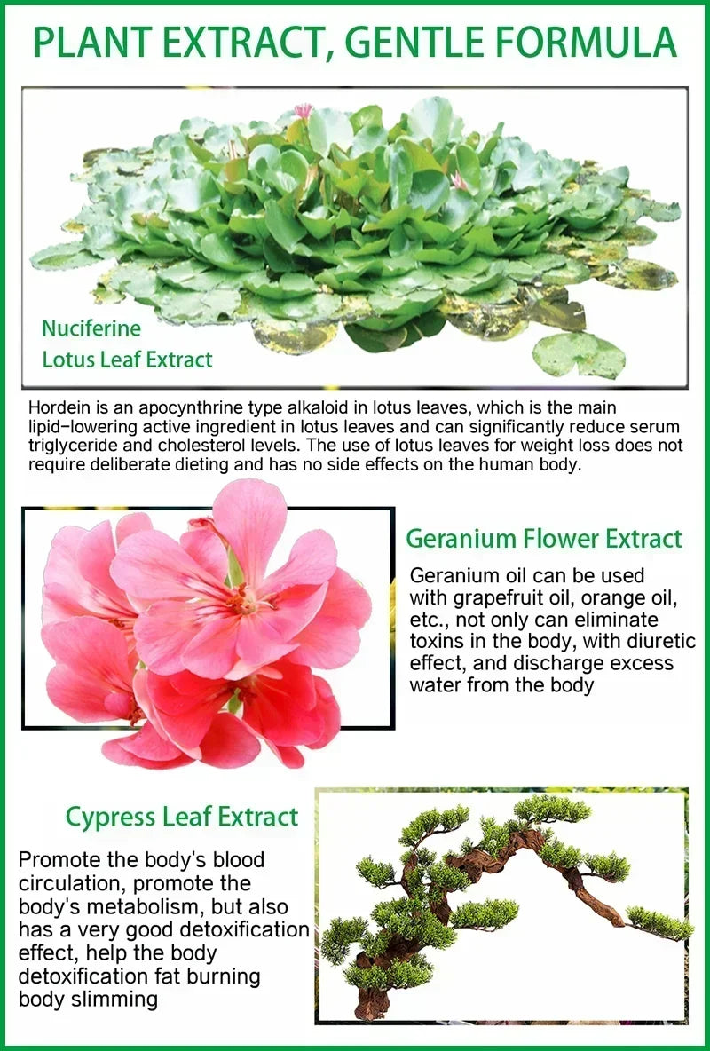 Natural Plant Essential Oils Extracted From The Body for Body Management Restoring and Maintaining Figure