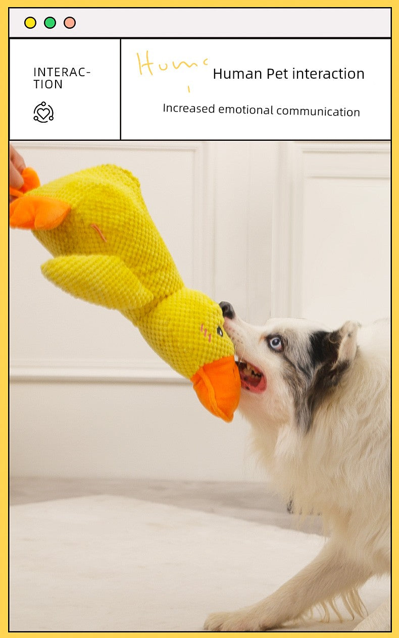 Large Dog Self-Hi Corgi Consumes Small Yellow Duck Dogs