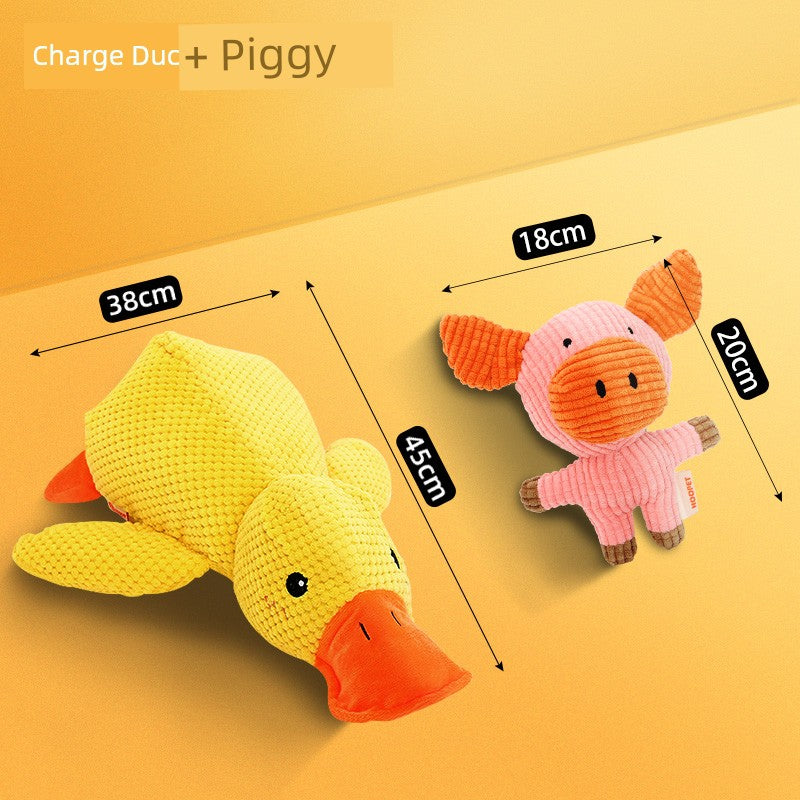 Large Dog Self-Hi Corgi Consumes Small Yellow Duck Dogs