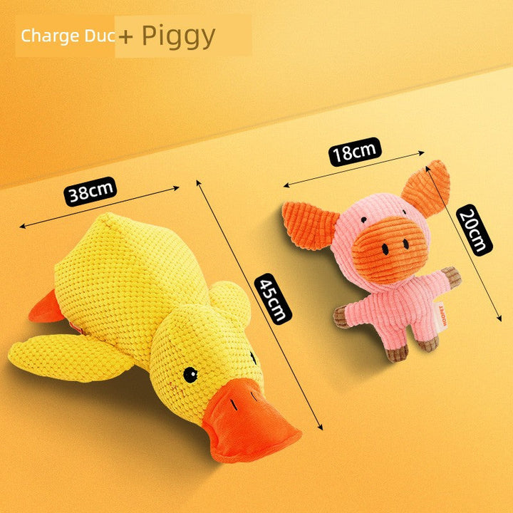 Large Dog Self-Hi Corgi Consumes Small Yellow Duck Dogs