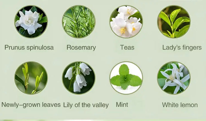 MIni Scent Machine Automatic Aromatherapy Diffuser Digital display smart Essential Oil Diffuser wall hanging Aroma Anion Mist