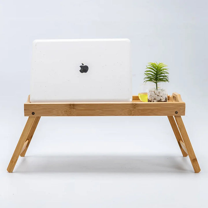 Portable Laptop Table Stand Desk