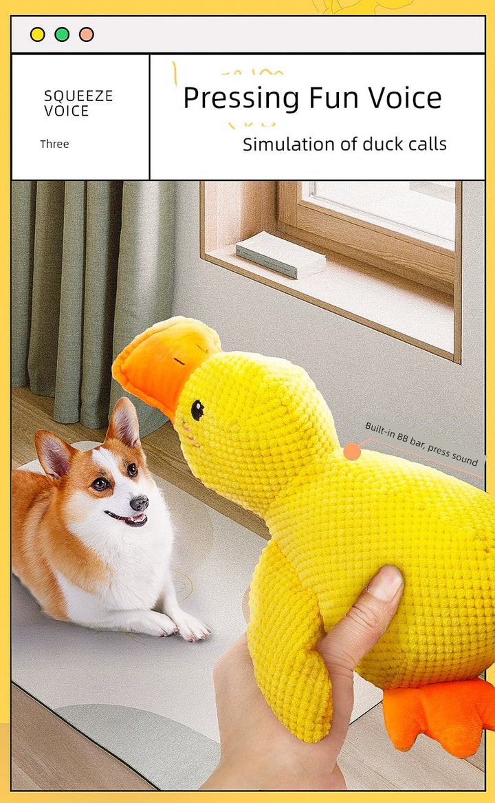 Large Dog Self-Hi Corgi Consumes Small Yellow Duck Dogs