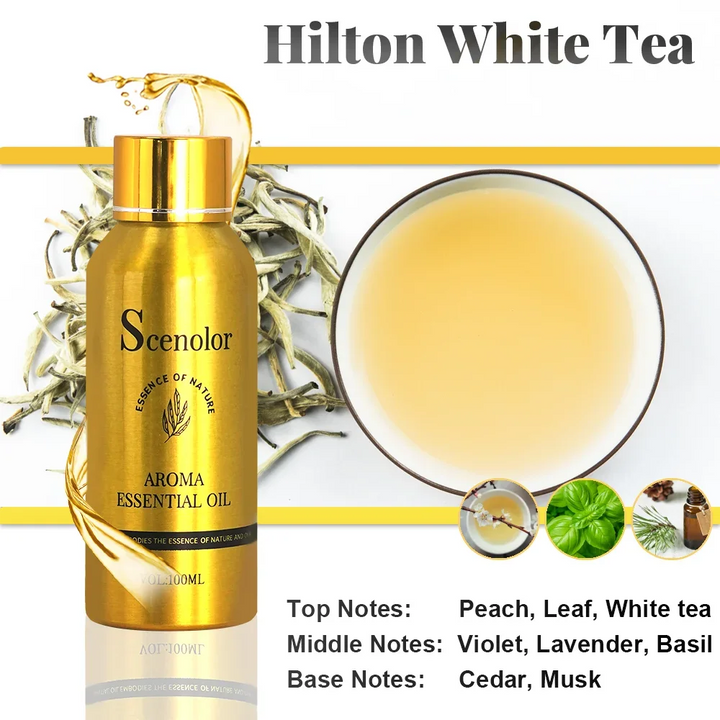 100ml Electric Aroma Hotel Essential Oil Perfume Oil High End Clothing Store Fragrance Oil For Aroma Diffuser Air Freshener Diy