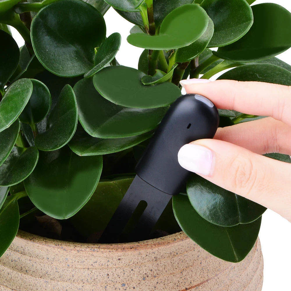 HHCC Flower Monitor Flora Garden Care Plant Grass Soil Water Fertility Smart Tester Sensor Flower Gardening Detector For Xiaomi