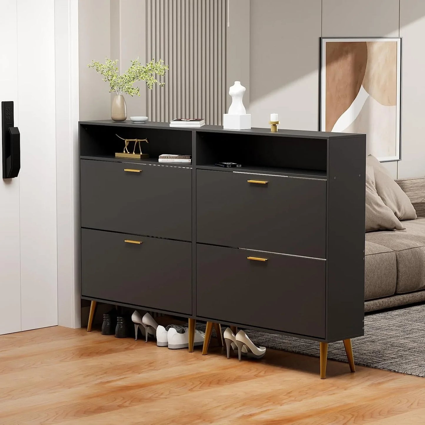 Slim Shoe Cabinet with 2 Flip Drawers