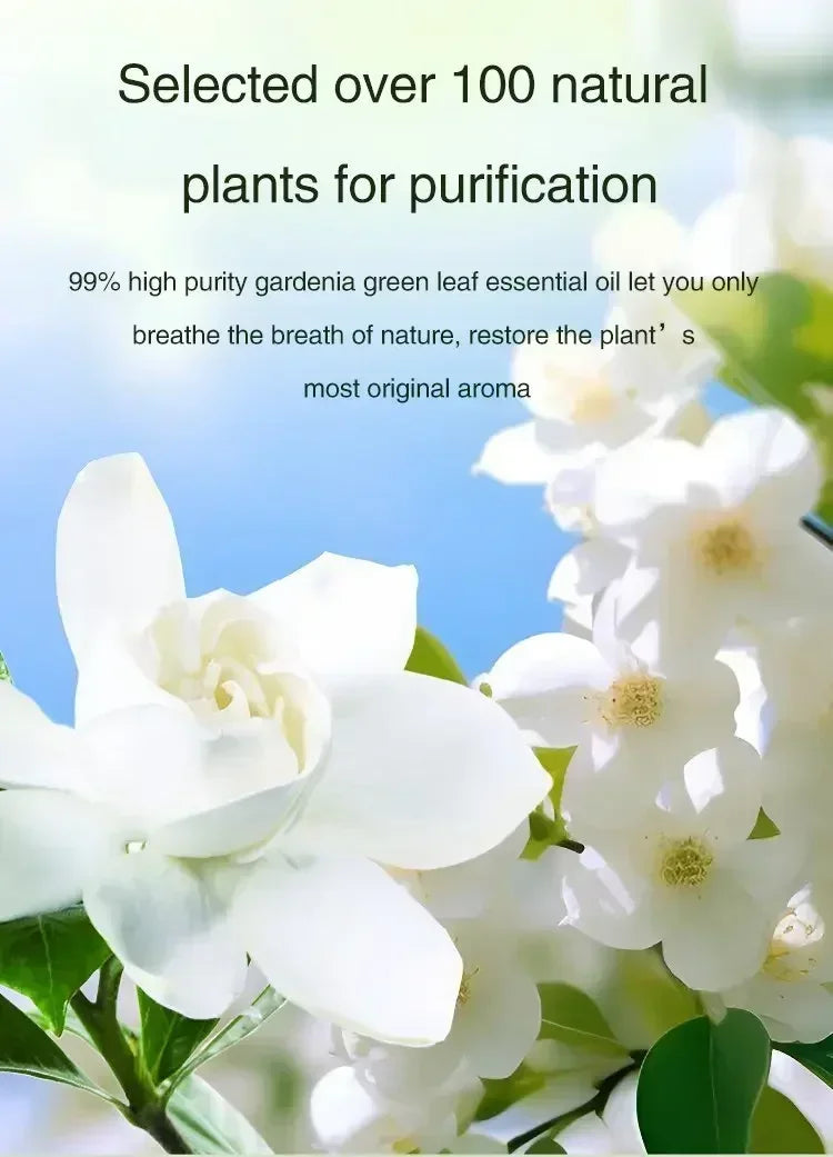 NEW Diffuser Aromatherapy Machine,Wireless Wall Hanging Portable Automatic Fragrance Spray Bathroom Toilet Deodorization