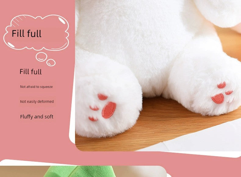 Pacify Transformation Girl Gift Sleep Hug Strawberry Rabbit