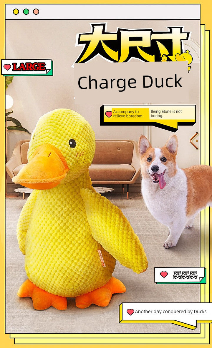 Large Dog Self-Hi Corgi Consumes Small Yellow Duck Dogs