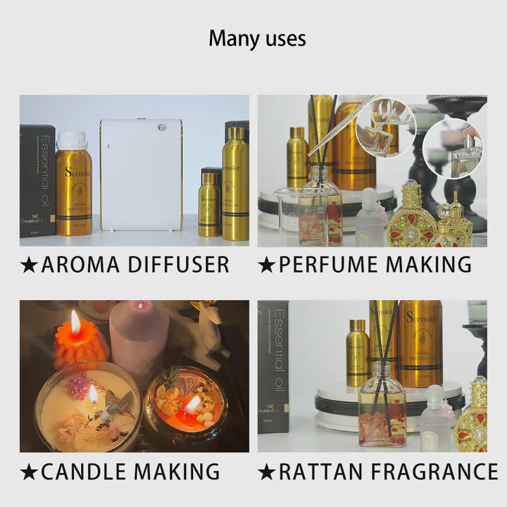 100ml Electric Aroma Hotel Essential Oil Perfume Oil High End Clothing Store Fragrance Oil For Aroma Diffuser Air Freshener Diy