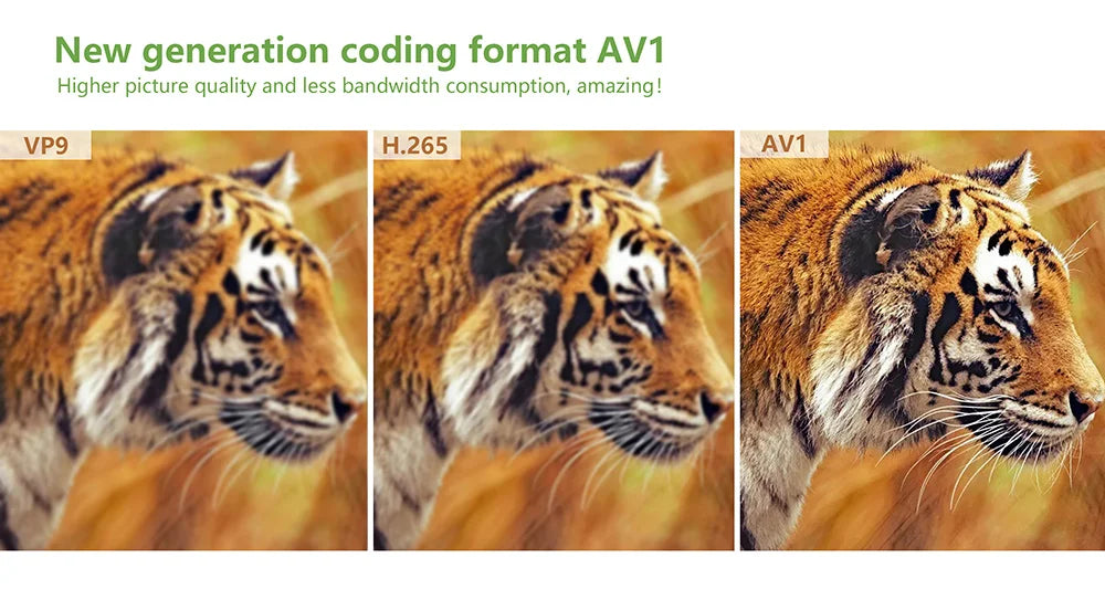 Tanix W2 Smart TV Box Android 11 Amlogic S905W2 4GB 64GB Support AV1 Dual Wifi  Media Player TVBOX Set Top Box 32GB 2GB 16GB