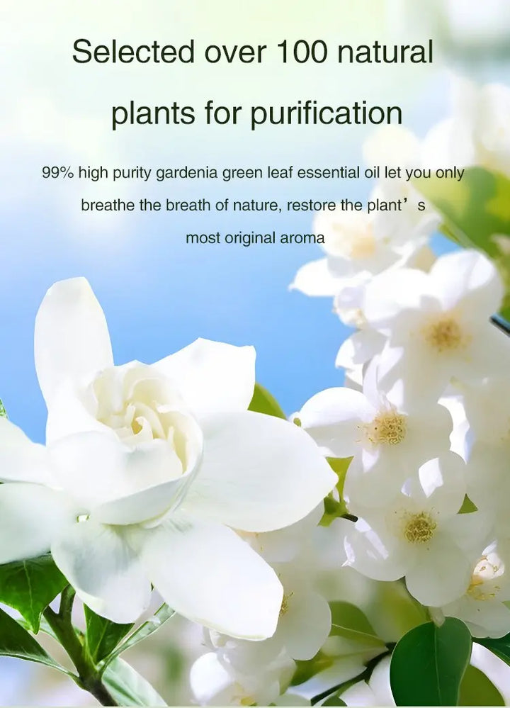 MIni Scent Machine Automatic Aromatherapy Diffuser Digital display smart Essential Oil Diffuser wall hanging Aroma Anion Mist