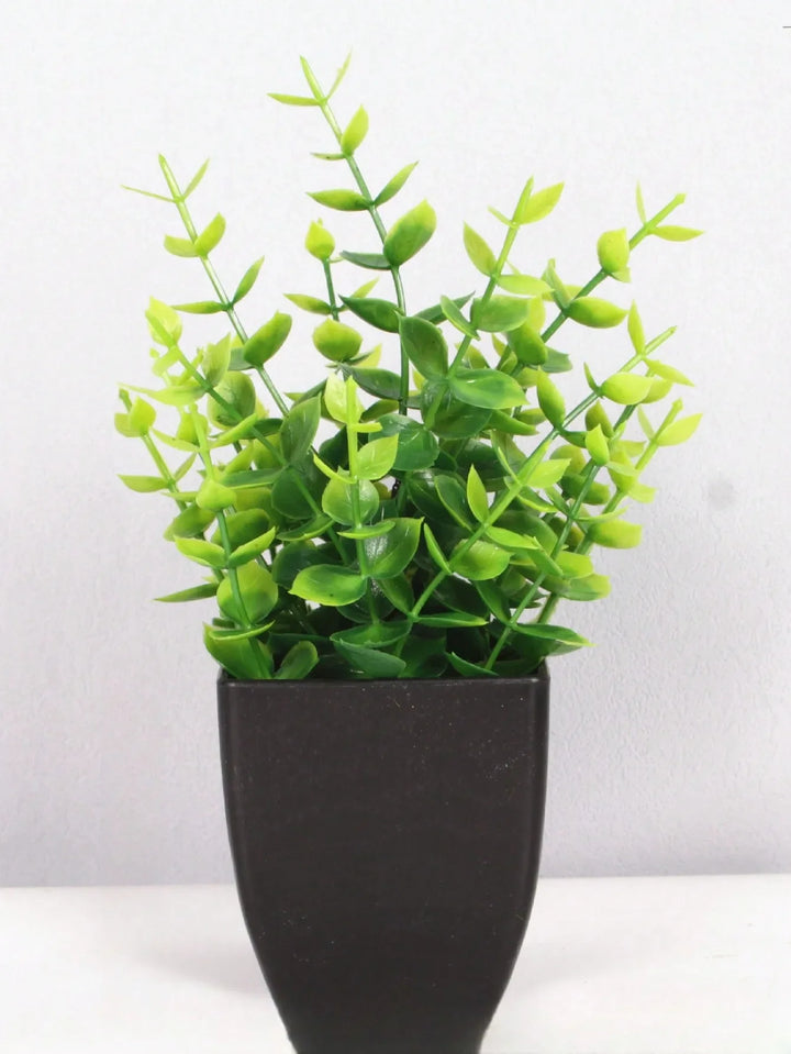 Mini Artificial Eucalyptus Plant in Black Pot