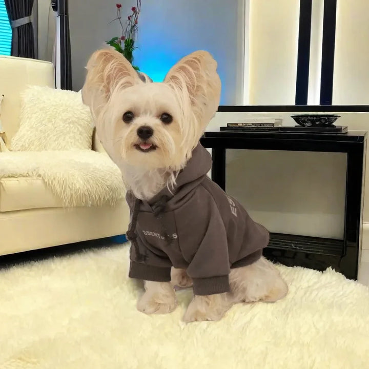 Summer Casual Dog T-Shirt