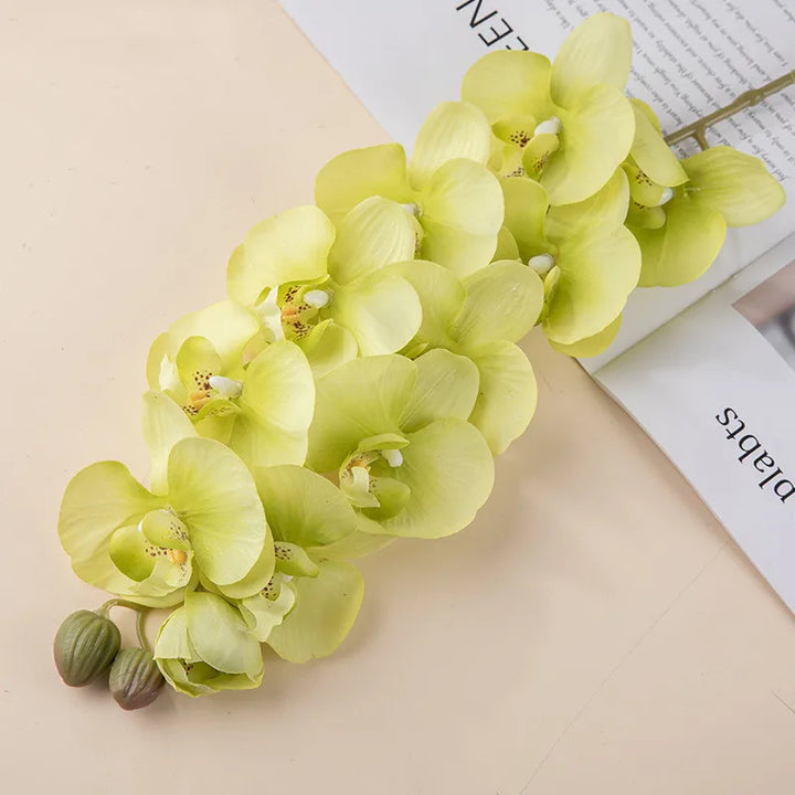 10 Heads 72CM Real Touch Orchid Flowers