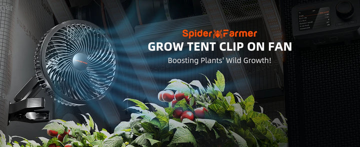 2025 New Spider Farmer 6" Grow Tent Clip Fan EC Motor, 10 Speeds Wind Control 10-Level Wide-Angle Oscillation, Waterproof IP54