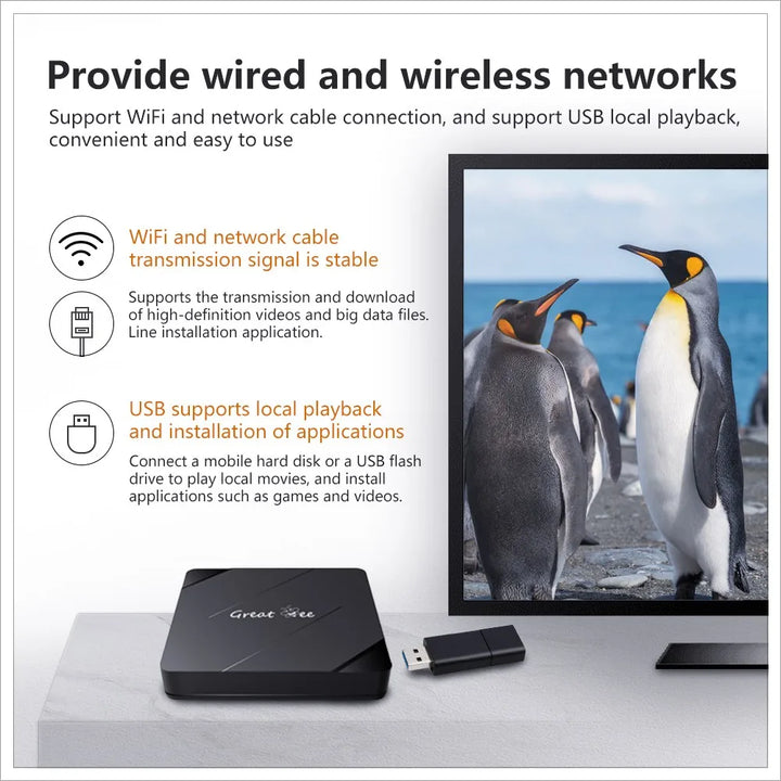 Great Bee Greatbee Arabic TV Box, Android 10 2G 16G Smart 4K Arabic Media Player Satellite Receiver