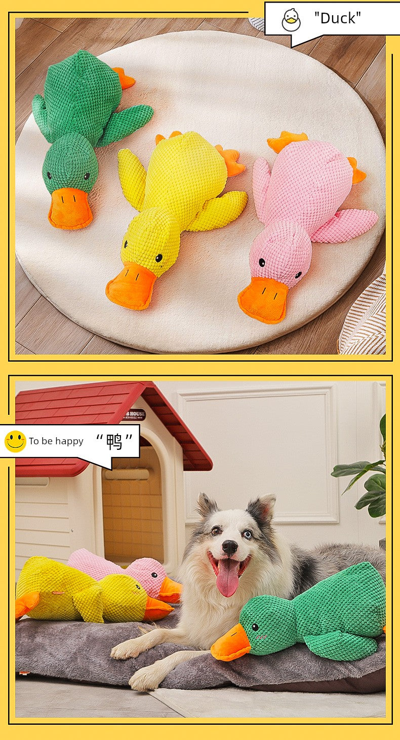 Large Dog Self-Hi Corgi Consumes Small Yellow Duck Dogs