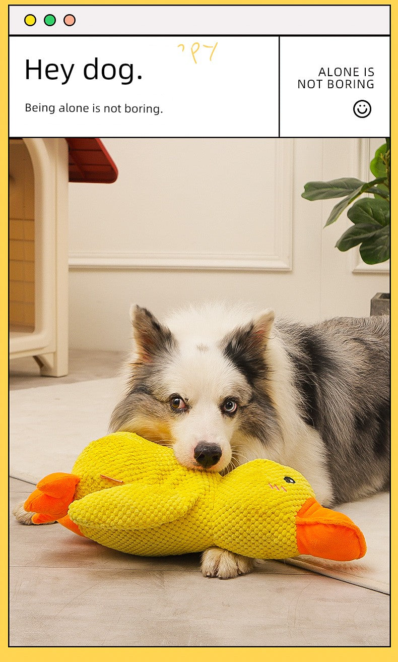 Large Dog Self-Hi Corgi Consumes Small Yellow Duck Dogs
