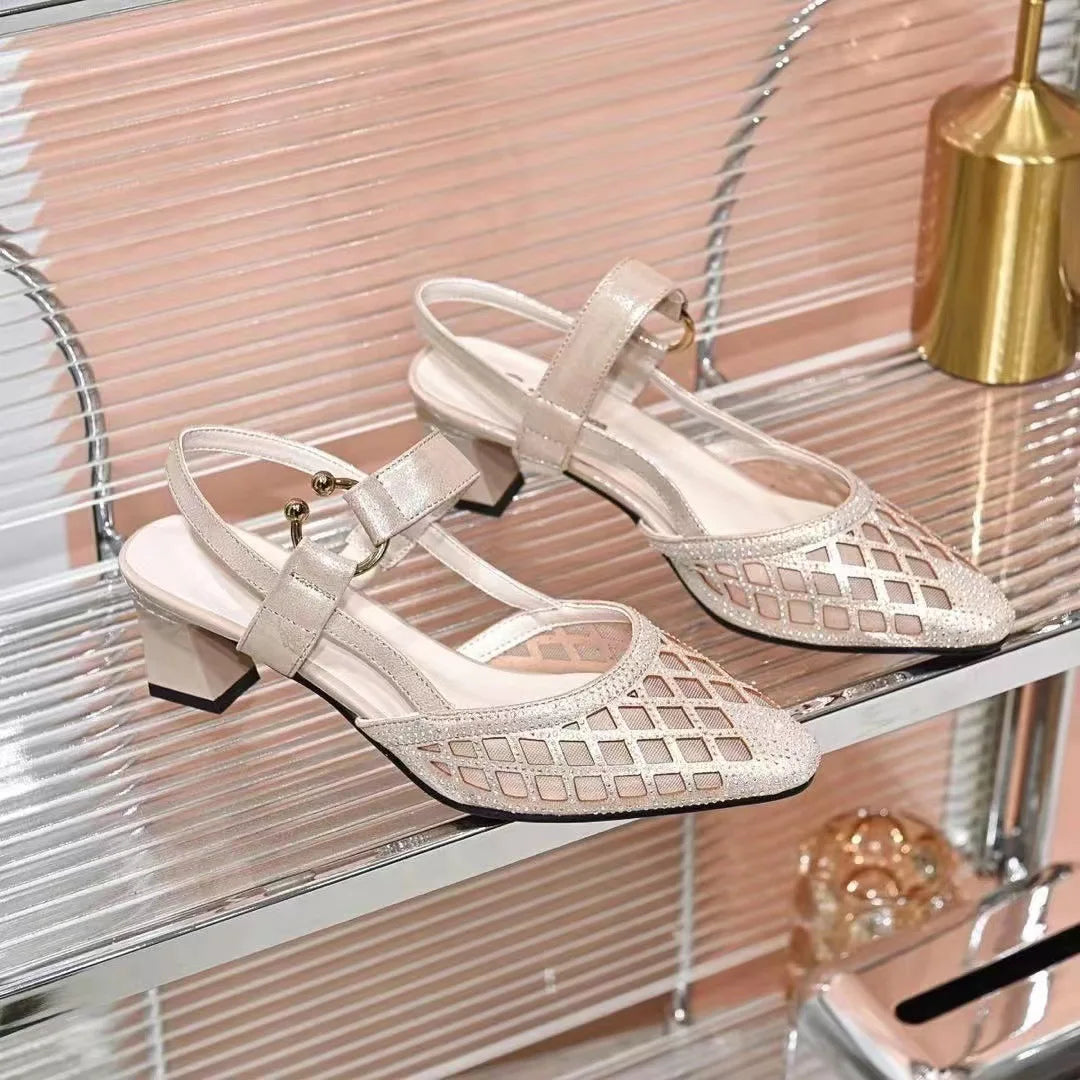 High Heeled Sandals 2024 New Summer with Thick with The Net Gauze Women's Shoes Pointed Buckle Single Shoes Low with Heels