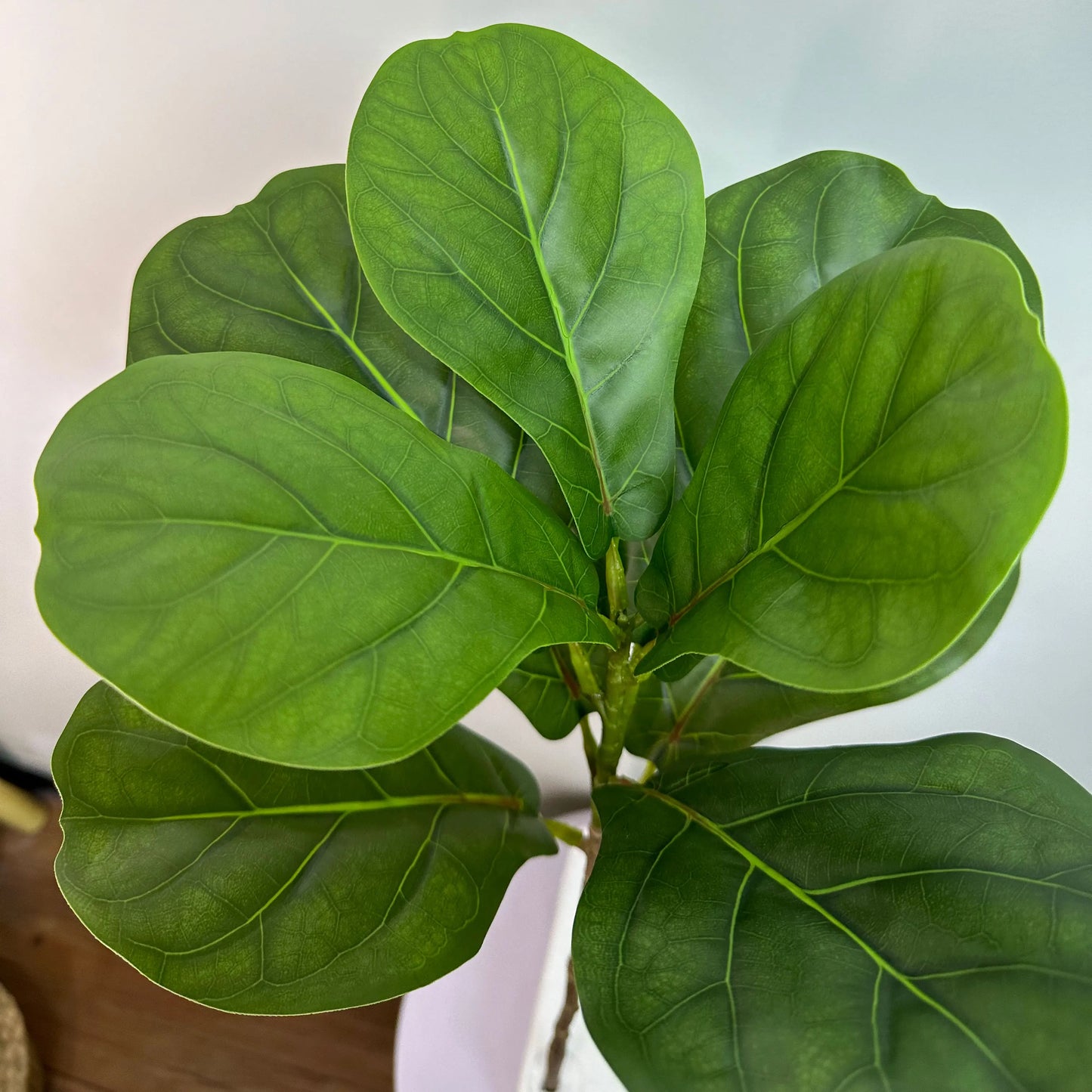 Artificial Ficus Tree Décor