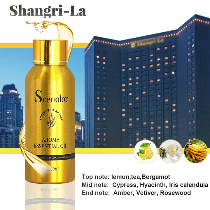 100ml Electric Aroma Hotel Essential Oil Perfume Oil High End Clothing Store Fragrance Oil For Aroma Diffuser Air Freshener Diy